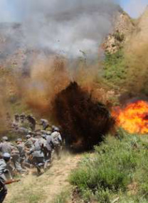 欧美在线中文字幕高清的