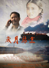 被强迫的爱人