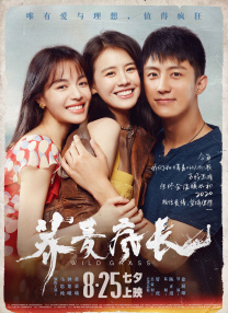 五月丁六月停停